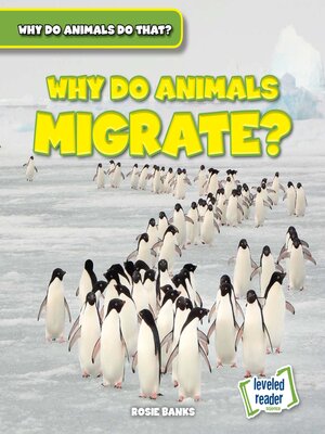 cover image of Why Do Animals Migrate?